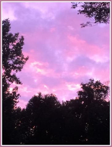 I snapped this beautiful sunset we were treated to from my deck when we dined outside one evening.